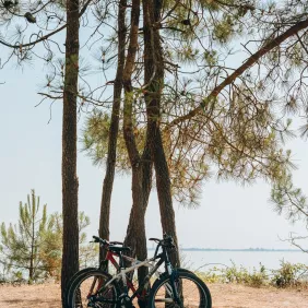 Camping l'orée des Bois île d'Oléron © Maéva Williot
