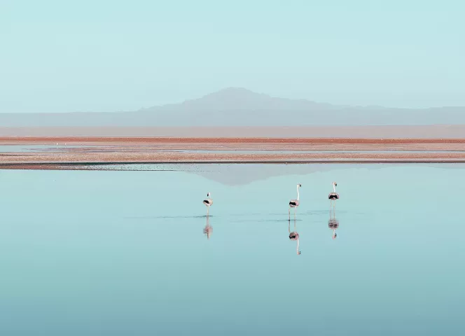 Chili meilleure destination Amérique du Sud