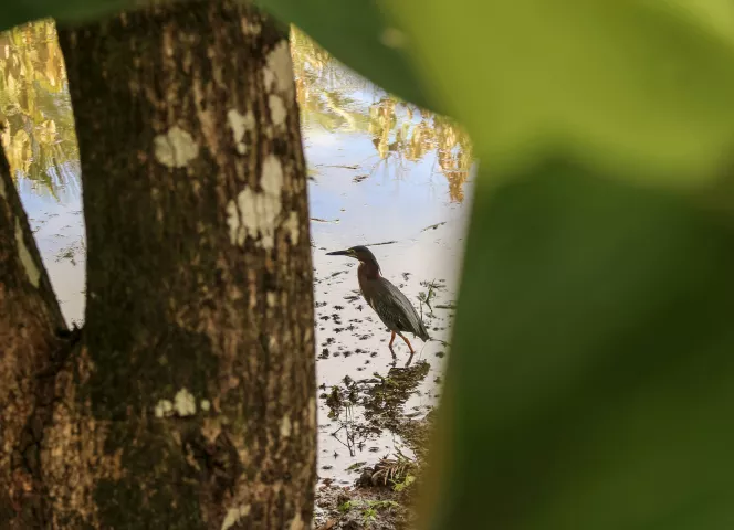 Meilleur voyage dans les Caraïbes