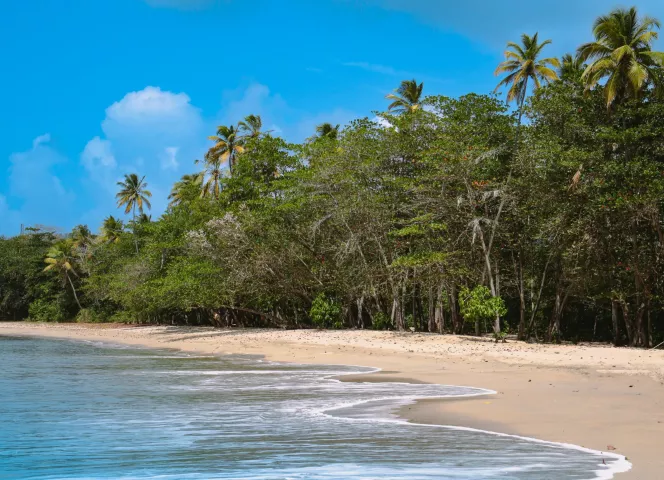 sainte-lucie meilleure destination des Caraïbes