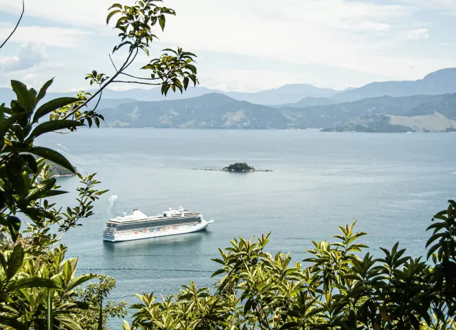 Croisières organisées