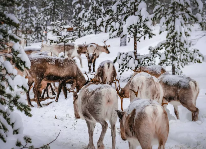 Épopée finlandaise avec l'ATC Routes du Monde