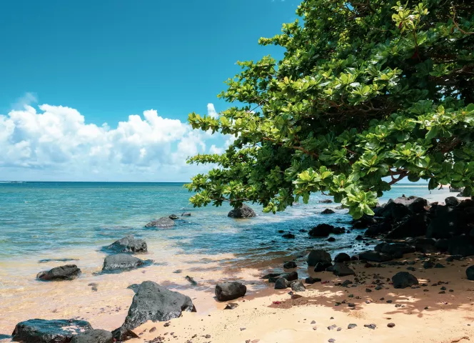 voyage tourisme balnéaire