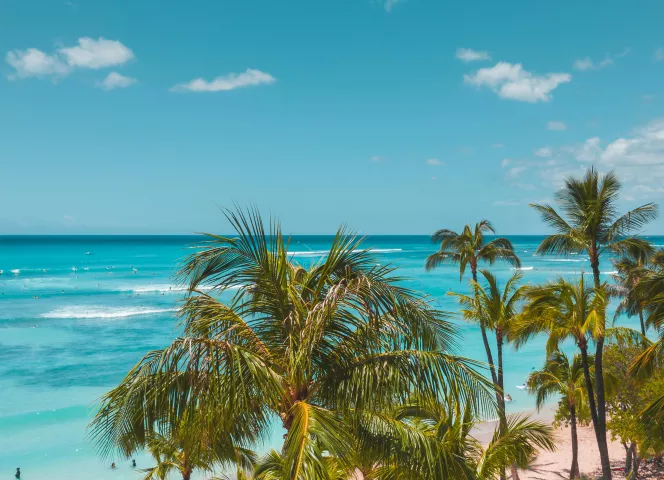 Les Caraïbes : République Dominicaine