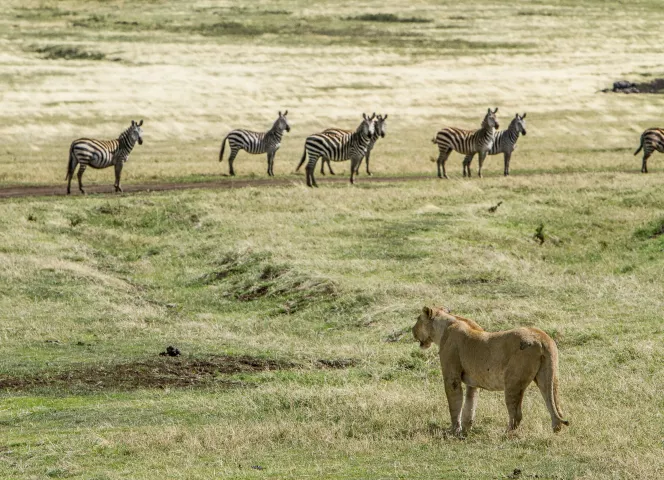 séjour nature en tanzanie