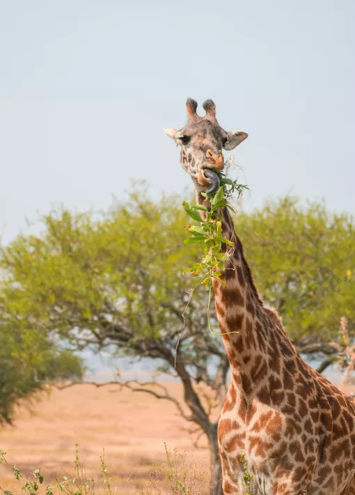 Séjours pleine nature