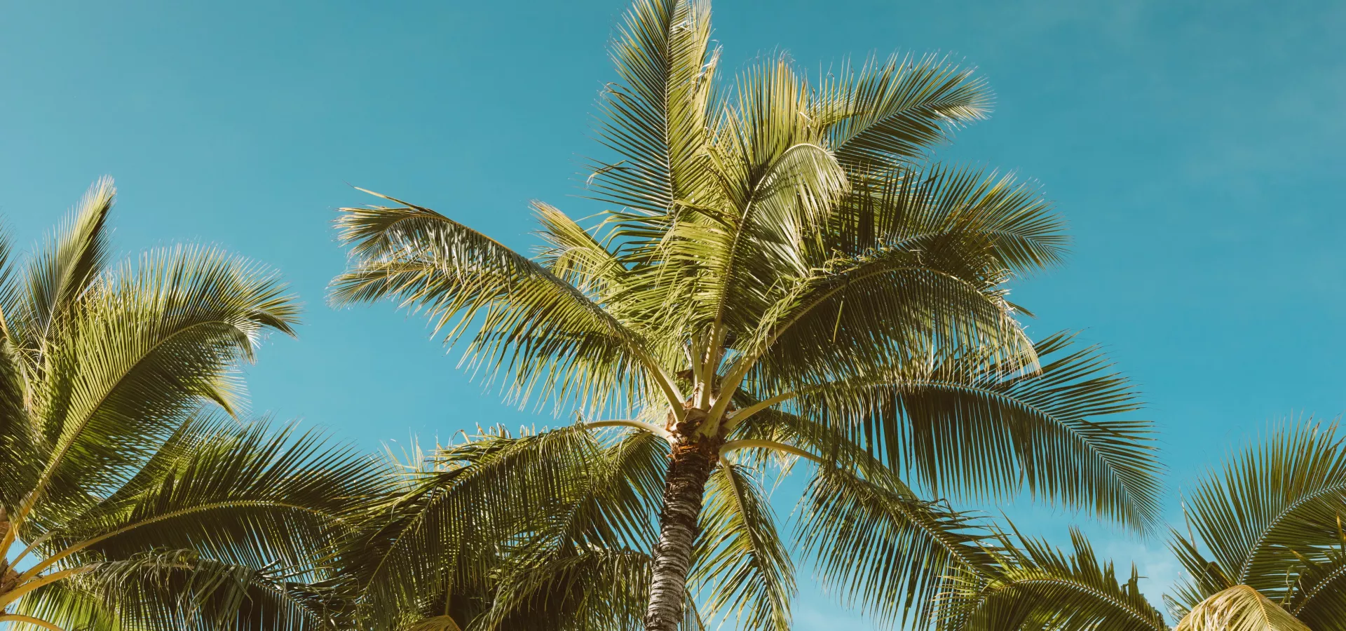 Réduction semaine été 2026