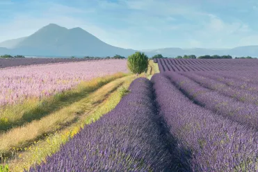 activités incontournables en Provence