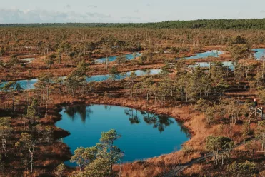 Voyager aux Pays Baltes : tout ce qu'il faut savoir