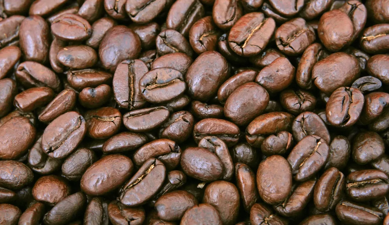 Le recyclage à l'ATC Routes du Monde, une affaire collective !