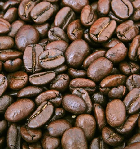 Le recyclage à l'ATC Routes du Monde, une affaire collective !