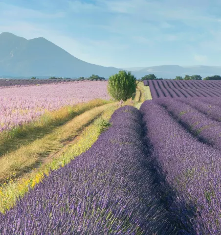 activités incontournables en Provence
