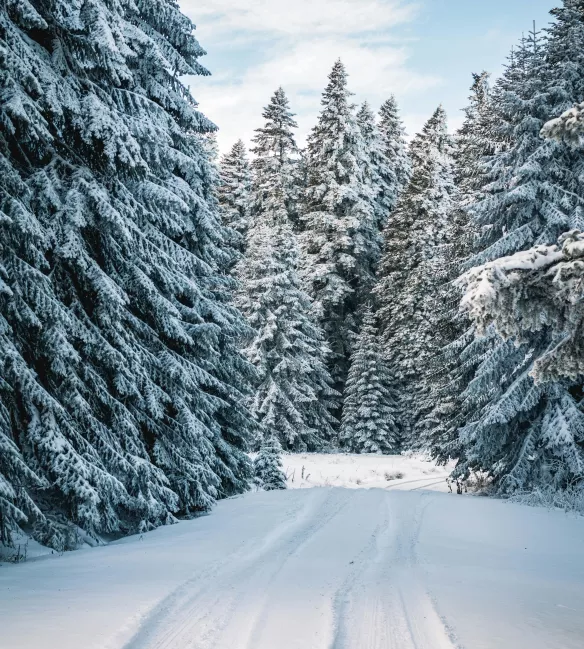 Vos vacances hivernales avec l'ATC Routes du Monde
