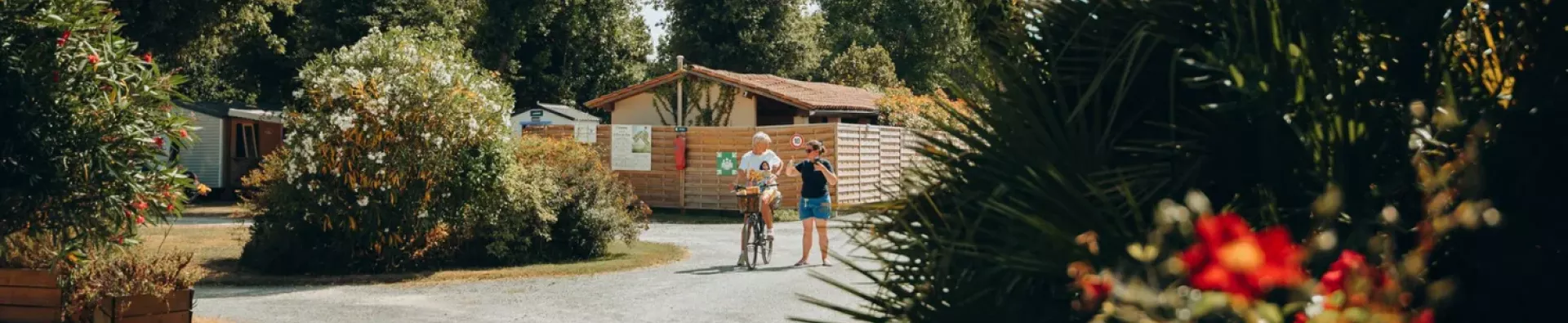Camping 3 étoiles l'Orée des Bois île d'Oléron