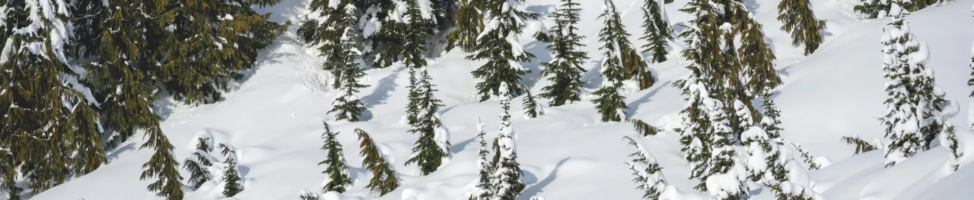 Formule raquettes dans notre village vacances à Saint-François Longchamp