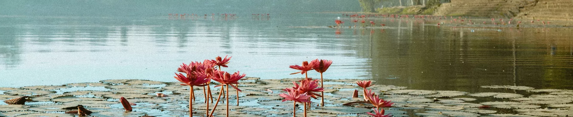 Au cœur du Cambodge éternel avec l'ATC Routes du Monde