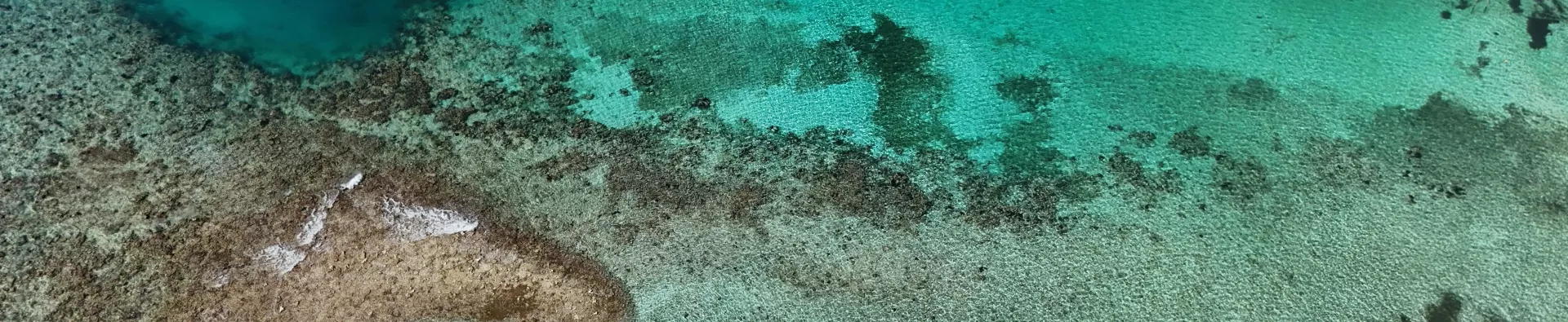 Le Yucatan autrement avec l'ATC Routes du Monde