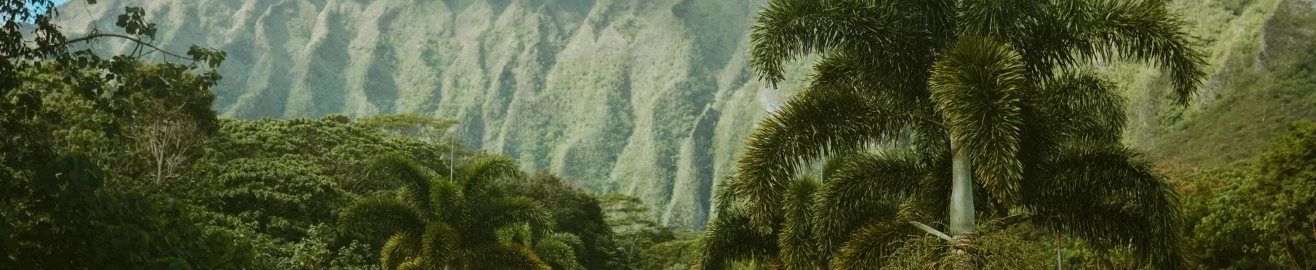 Nos articles de blog