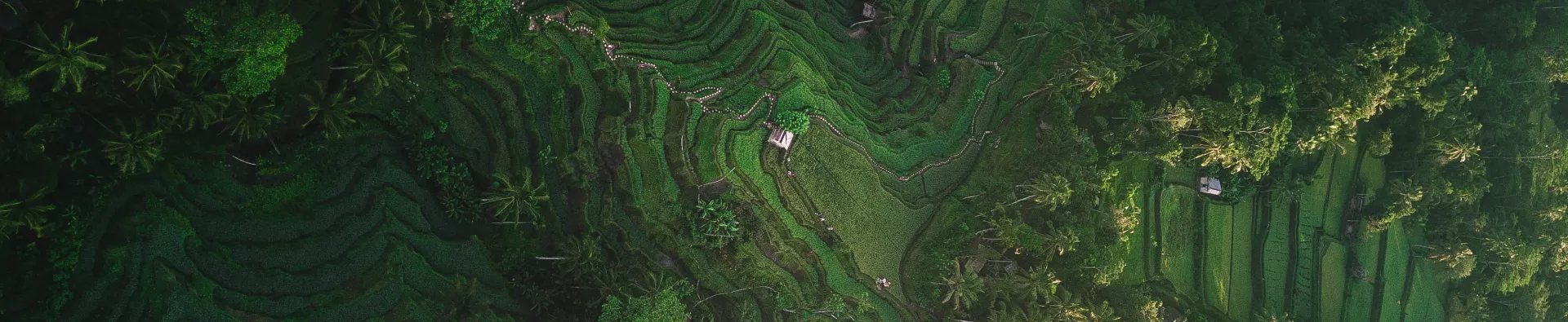 L'Asie avec l'ATC Routes du Monde