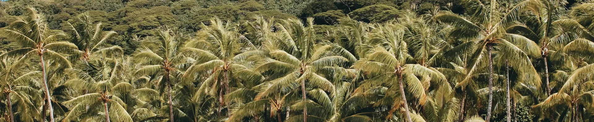 Les îles du Pacifique