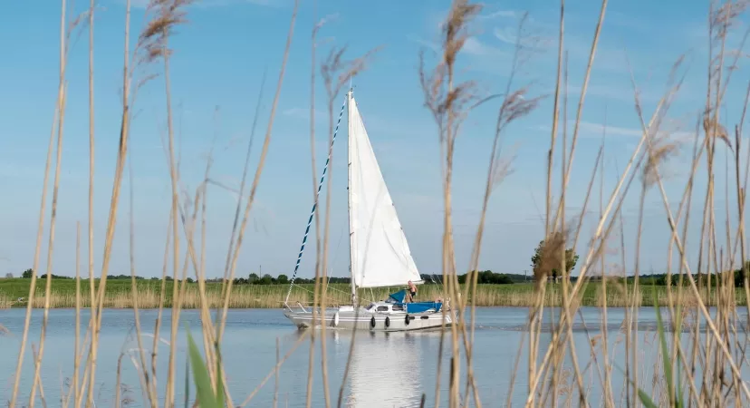 Voilier en mer