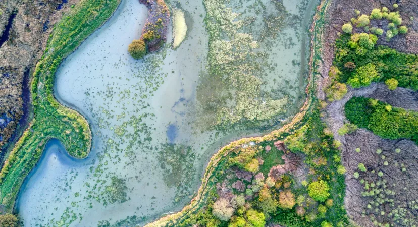 Randonnées à Pornichet, le Croisic & Guérande