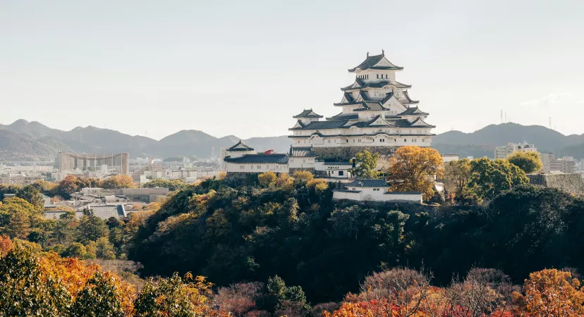 Splendeurs du Japon avec l'ATC Routes du Monde
