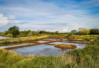 Randonnées à Pornichet, le Croisic & Guérande