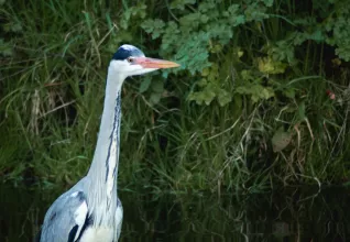 Randonnées à Pornichet, le Croisic & Guérande