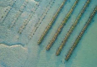 Randonnées à Pornichet, le Croisic & Guérande