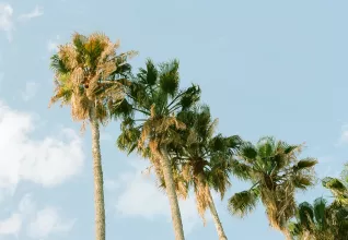 Randonnées & Tourisme en Provence