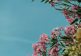 Randonnées à Pornichet, le Croisic & Guérande