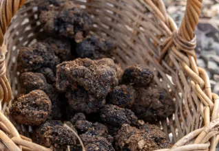 Escapade lotoise © Lot Tourisme - Aude Leconte