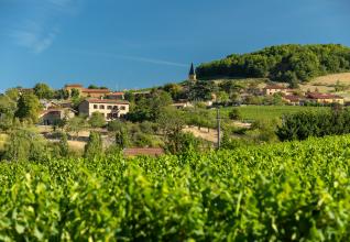 Beaujolais, sur les chemins des pierres dorées ©Etienne Ramousse Beaujolais Tourisme
