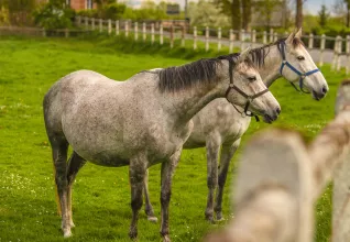Cabourg et le Pays d'Auge avec l'ATC Routes du Monde © Vincent Rustuel x Calvados Attractivité