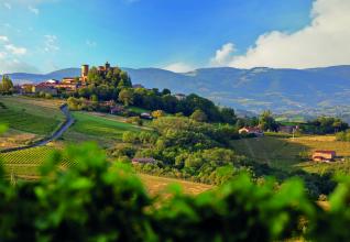 Beaujolais, sur les chemins des pierres dorées ©Etienne Ramousse Beaujolais Tourisme