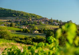 Beaujolais, sur les chemins des pierres dorées ©Etienne Ramousse Beaujolais Tourisme