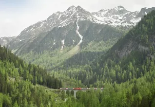 Suisse & Allemagne : Croisière sur le Rhin © Office du Tourisme Glacier Express