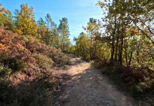 Randonnées, balades et visites en Ardèche