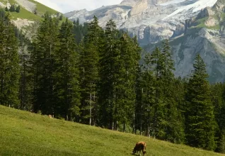 SUISSE Les fabuleux trains de montagne