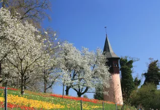 Suisse & Allemagne : Croisière sur le Rhin