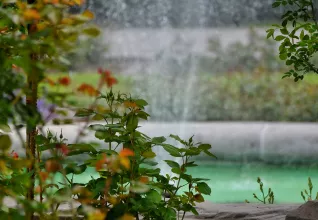 Suisse & Allemagne : Croisière sur le Rhin