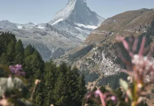 SUISSE Les fabuleux trains de montagne