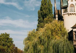 Suisse & Allemagne : Croisière sur le Rhin