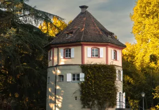 Suisse & Allemagne : Croisière sur le Rhin