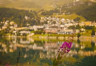 SUISSE Les fabuleux trains de montagne