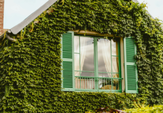 Giverny - Versailles - Barbizon