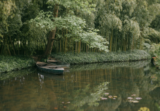 Giverny - Versailles - Barbizon