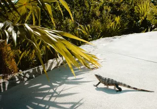 Le Yucatan autrement avec l'ATC Routes du Monde