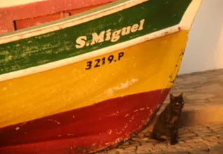 Splendeurs du Cap Vert avec l'ATC Routes du Monde